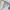 Sportswear Legging Wanita multicolor photo 4