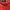 Sanrio Casual Sweater Wanita red photo 2