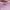 Onitsuka Tiger Streetwear Casual Sneakers Wanita white pink photo 6