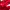 Polo Ralph Lauren Y2K Casual Track jacket Pria red photo 4