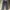 Carhartt Y2K Jeans Pria navy photo 2