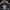 Columbia Gorpcore Puffer jacket Pria black photo 6
