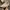 Vans Casual Sneakers Pria cream photo 1