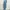Sportswear Legging Wanita multicolor photo 1