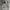 Nike Streetwear Hoody Pria gray photo 1