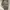 Nike Streetwear Hoody Pria gray photo 2