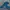 Blackyak Gorpcore Track jacket Pria silver blue photo 5