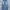Casual Jeans Pria blue photo 1