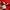 Adidas Sportswear Sweatshirt Wanita red photo 5