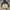 Hangten Streetwear Casual Bomber Jacket Pria Multicolor