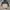 Hangten Streetwear Casual Bomber jacket Pria multicolor photo 4
