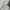 Marmot Sportswear Track jacket Pria silver photo 2