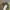 Vintage Streetwear Hat Pria cream gray photo 3