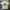 Odd Future Streetwear T-shirt Pria white photo 1