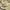 Fred Perry Vintage Casual Polo shirt Pria cream photo 5