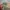 Vintage Streetwear Hat Pria khaki photo 1