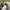 Vintage Streetwear Hat Pria khaki photo 3