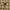 Dunlop Vintage Y2K Casual shirt Pria tan brown photo 5