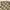 Dunlop Vintage Y2K Casual shirt Pria tan brown photo 3