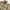 Dunlop Vintage Y2K Casual shirt Pria tan brown photo 2