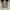 Everlast Sportswear Pria white photo 5