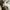 Uniqlo Streetwear Y2K Tracksuit Pria tan brown photo 7