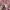 Casual Sweater Wanita pink photo 4