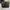 Yves Saint Laurent YSL Casual Bags & Purse Wanita Black