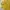 Ellesse Gorpcore Casual Track jacket Pria yellow photo 4