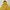 Ellesse Gorpcore Casual Track jacket Pria yellow photo 2