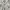 Zara Streetwear Casual Bomber jacket Wanita cream photo 4