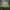Casual Bomber jacket Pria green photo 3