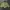 Casual Bomber Jacket Pria Green
