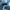 Adidas Sportswear Casual Sneakers Pria blue photo 4