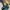 Adidas Sportswear Casual Sneakers Pria blue photo 3