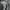 Nike Streetwear Sportswear Sneakers Pria white gray photo 6