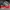 Nike Streetwear Sportswear Sneakers Pria white gray photo 1
