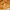 Vintage Luxury Formal shirt Pria gold photo 8