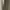 Minimalist Wanita green photo 5