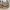 Coach Vintage Y2K Crossbody Bag Wanita tan brown photo 7