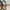 Coach Vintage Y2K Crossbody Bag Wanita tan brown photo 8