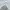 The North Face Minimalist Sweatshirt Pria Gray