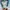 Mizuno Minimalist Sweater Pria white photo 5