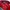 Topi Pukka Casual Hat Pria red photo 4