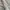Casual Harrington jacket Pria white photo 8