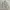 Casual Harrington jacket Pria white photo 3
