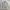 Casual Harrington jacket Pria white photo 1
