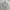 Casual Harrington Jacket Pria White