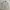Casual Harrington jacket Pria white photo 2