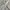 Casual Harrington jacket Pria white photo 7